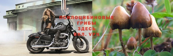 винт Алзамай