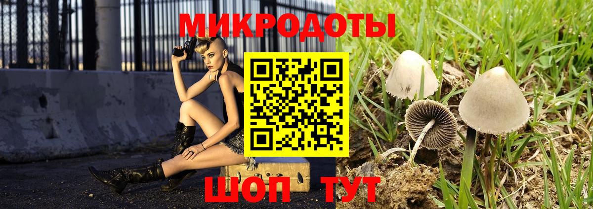 Галлюциногенные грибы Magic Shrooms  Галлюциногенные грибы Psilocybine cubensis  Алексин  Вход с VPN 